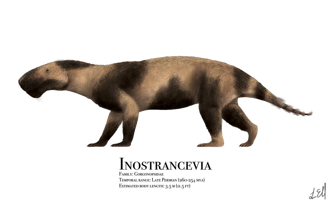 Inostrancevia By Prehistorybyliam On Deviantart Inostrancevia By Prehistorybyliam On Deviantart