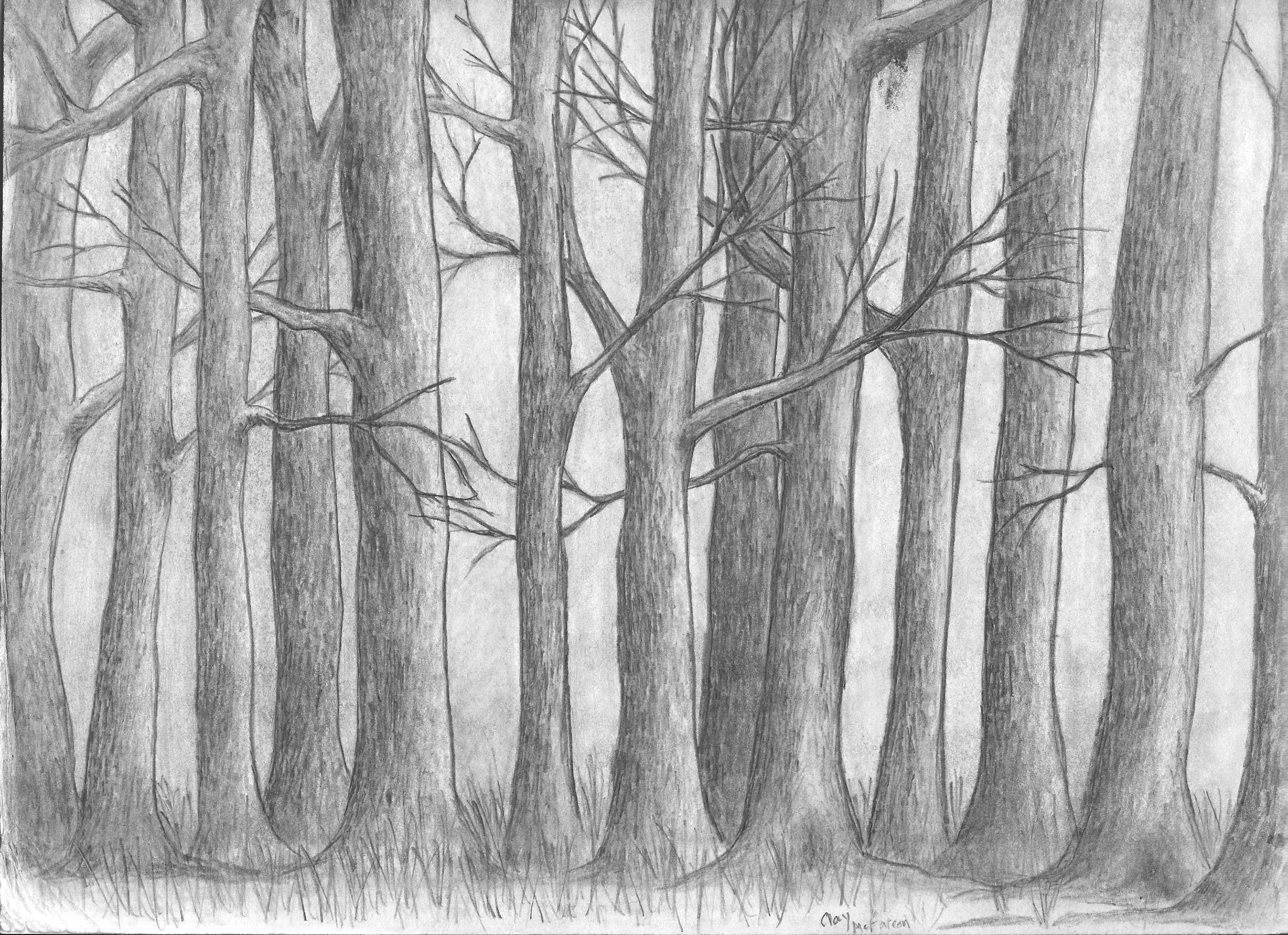 Лес на заднем плане рисунок карандашом