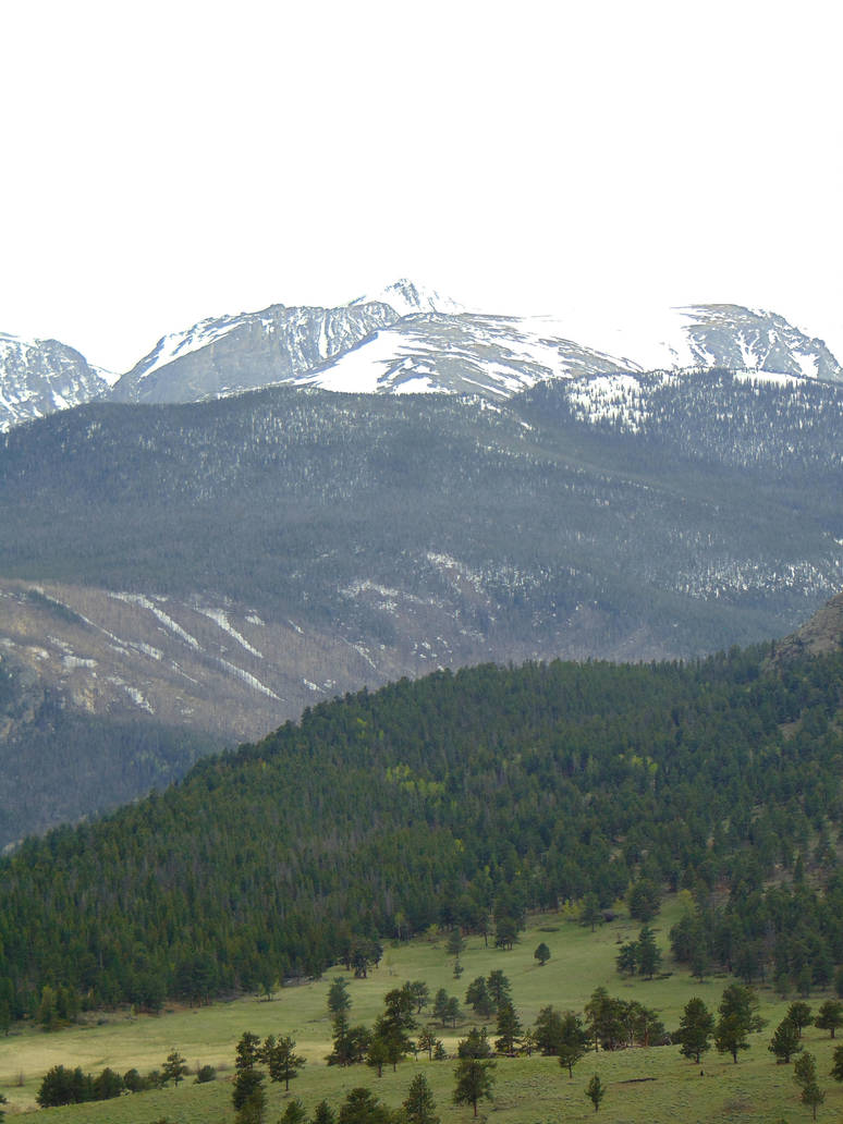 mountian forest veiw by gillhjuanita