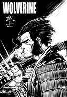 samurai-warriors by s-o-n-q-t-a