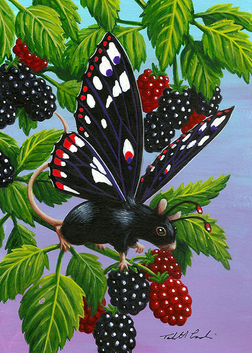 blackberry bounce