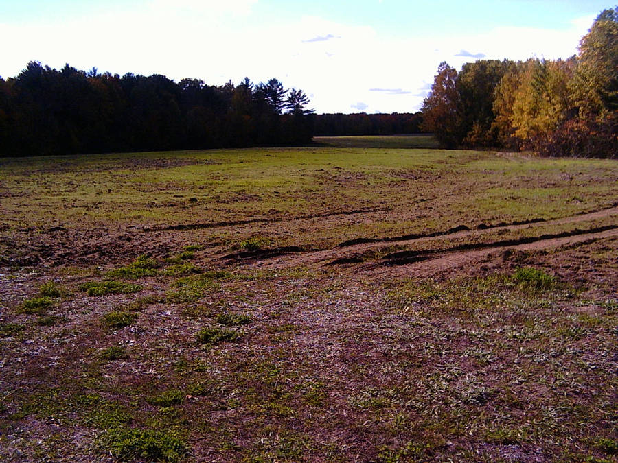 muddy field