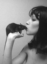 Rat Love by carandrats