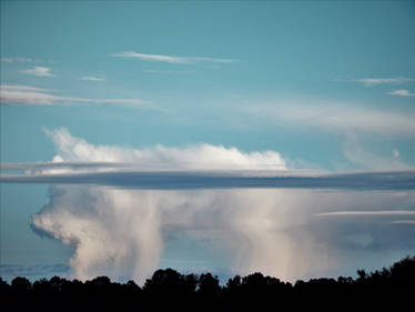 Sky Pig Swimming...