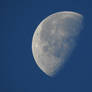 Morning Moon...10/27/2021