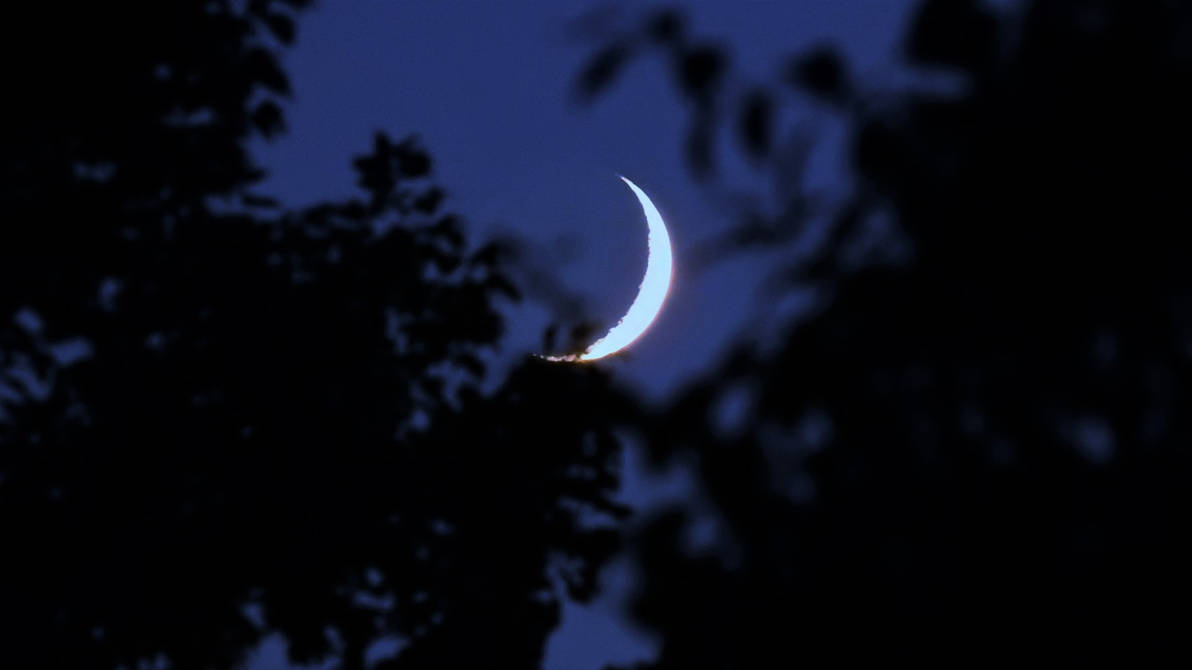 Moon 8 19 2023 9 16 PM By A Separate Reality On DeviantArt moon-8-19-2023-9-16-pm-by-a-separate-reality-on-deviantart