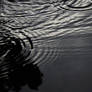After the Rain