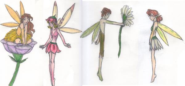 Fairy sketchs