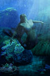 Depths Mermaid by Hemuvel