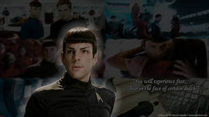 Star Trek - Spock wall