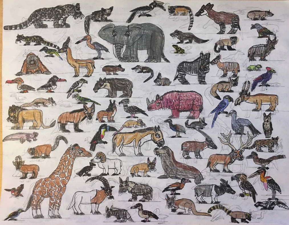 Random Animals Sketch #1 by TyThom1999 on DeviantArt