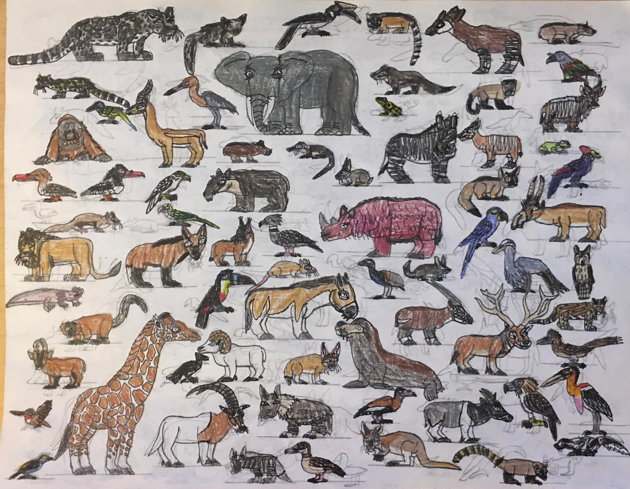 Random Animals Sketch #1 by TyThom1999 on DeviantArt