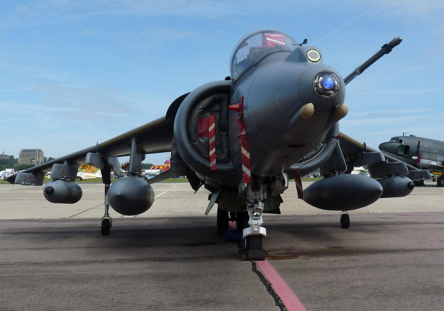 Harrier Close-up by DdraigGoch01 on DeviantArt