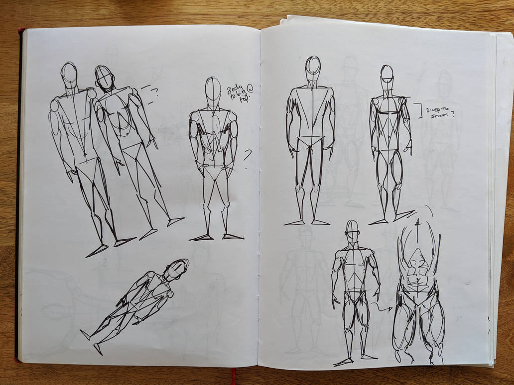 Body proportion study 5 by Wandering-Bodhi on DeviantArt