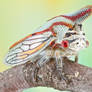 Oak Treehopper - Platycotis vittata