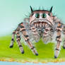 Phidippus toro