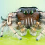 Phidippus comatus