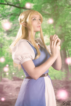 Praying- LOZ:ALTTP cosplay