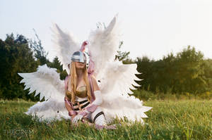 Angelic deity, Angewomon, Digimon Cosplay