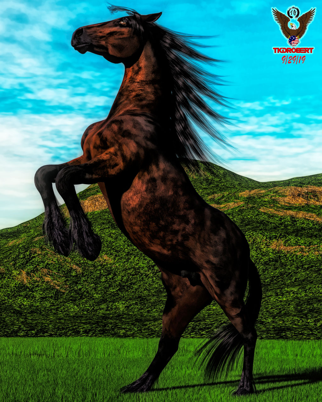 Wild Horse by tkdrobert
