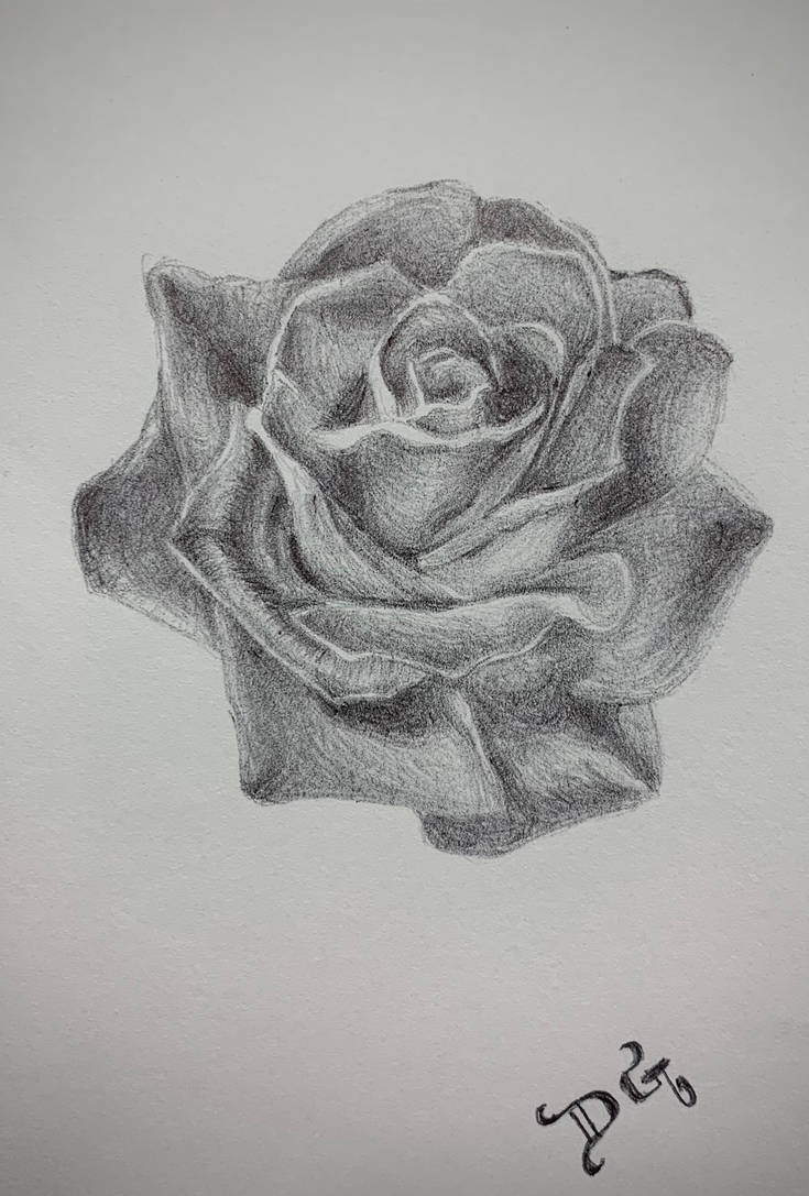 a rose for you by TheCrimsonMaven on DeviantArt