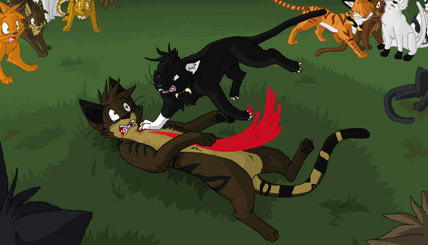 The Fall of Tigerstar