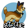 A Blue Badge