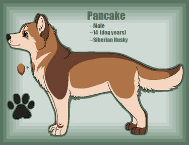 Mangoswirls -Pancake Ref