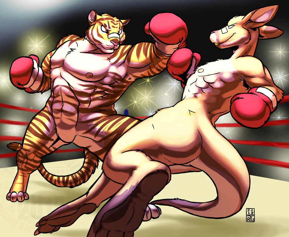 Boxing Match