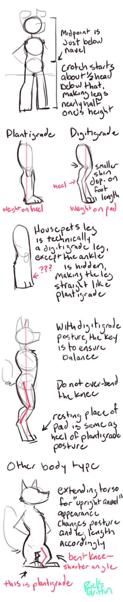 Drawing Legs (Definitely Not Exhaustive)