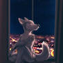 Ideka on the Windowsill