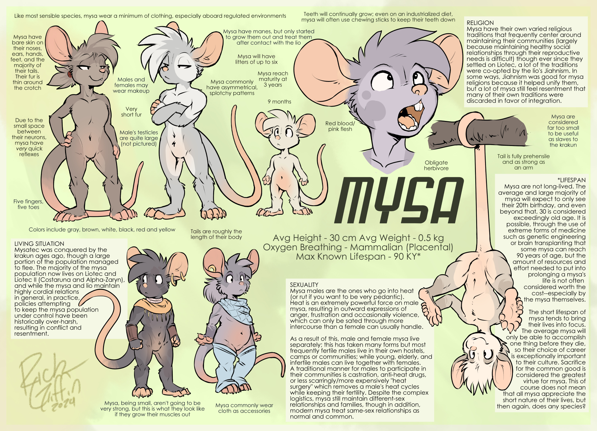 Mysa Species Sheet