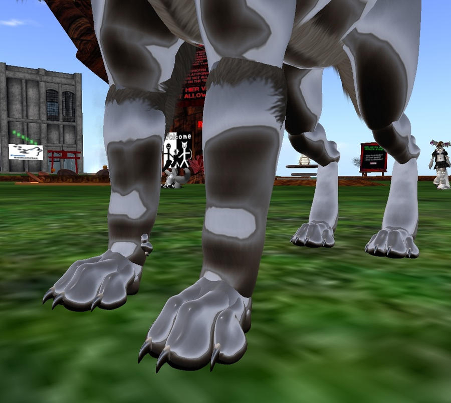 Timberwolf metallic by KOSHIE23 on DeviantArt