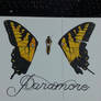 Paramore, Brand New Eyes