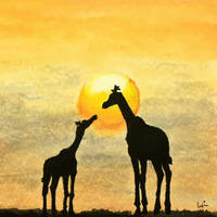 giraffe sunset