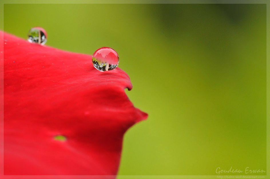 water drop