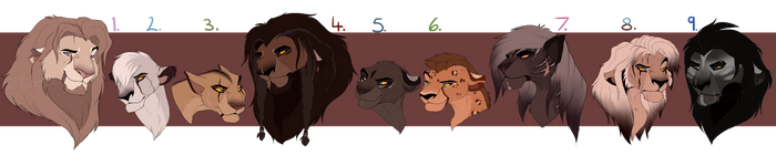 Lion designs: CLOSED