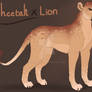 Cheetah X Lion Design. AUCTION. CLOSED: