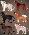 Lioness adopts. OPEN: 1 left! price lowered! by BeeStarART