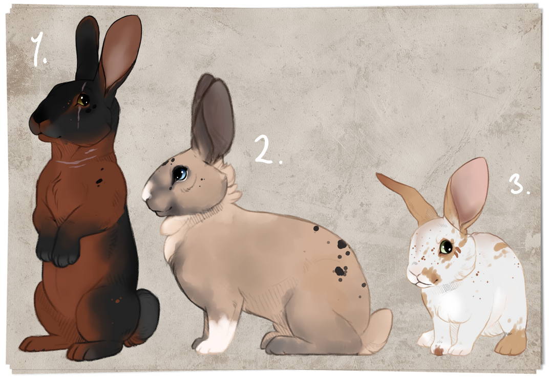 Bunny Adopts. auction. CLOSED: