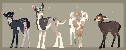 Fawn adopt. Auction CLOSED