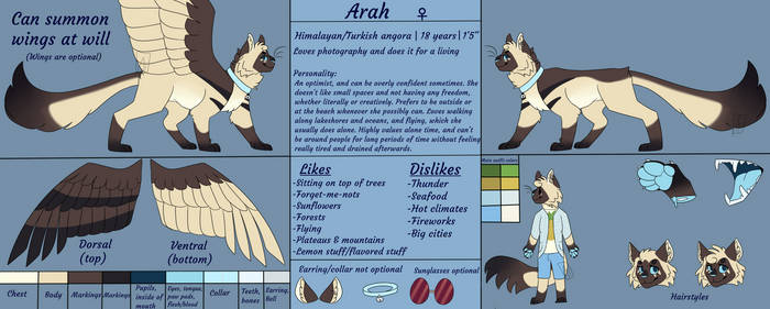 Arah ref 2019