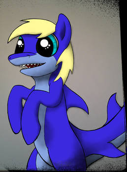 FLAO is cutest shark pony