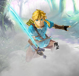 Link (Breath of the Wild)(Retouched)