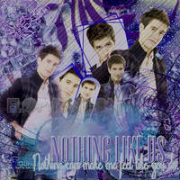 +Nothing Like Us