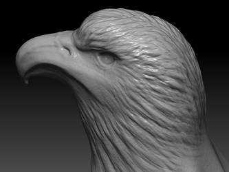Eagle head sculpt