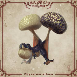 09 - Physarum album