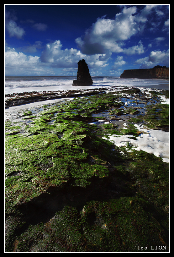 Algae and Clouds