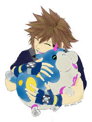 soras companion