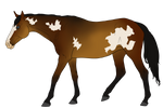 WBS Gambling Stake by BettaFreak123